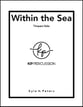 Within the Sea Timpani Solo P.O.D. cover